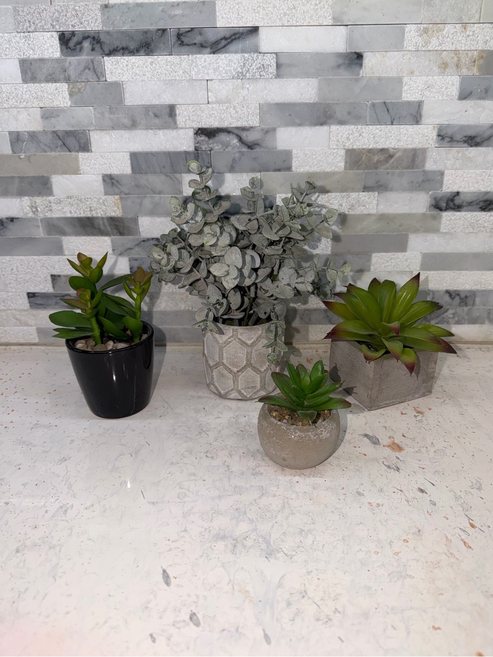 Modern Assorted Faux Succulent Planters Set of 4